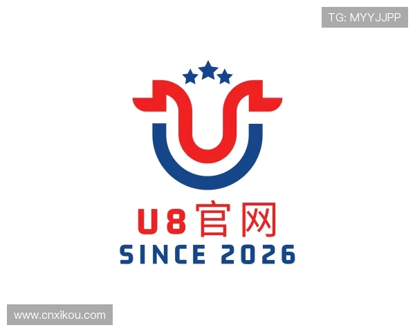 介绍U8国际
